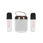 Y2 Karaoke Machine with Two Wireless Microphones