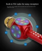 Handheld Wireless Bluetooth Microphone - Dual Speakers, LED Light & FM Radio - Image 2