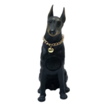 wireless sperker with microphone