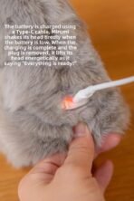 Mirumi Plush Talking Toy With Moving Head Rechargeable (3 Days Warranty) - Image 4